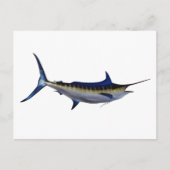 Blue Marlin Fish Postkarte (Vorderseite)