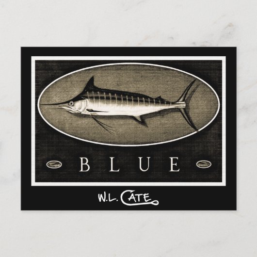 Blue Marlin Vintag Black & White Postkarten (Vorderseite)