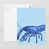 Blue Marron Sketch Postkarte (Vorne/Hinten)
