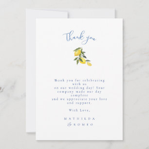 Blue Mediterranean Tile & Citrus Wedding Vielen Da Einladung