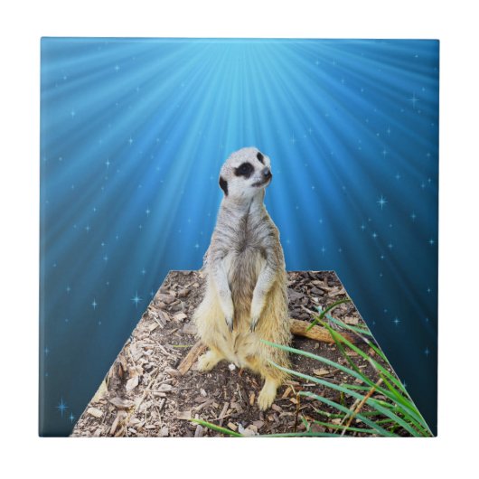 Blue Meerkat Night, Fliese (Vorderseite)