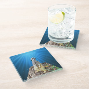 Blue Meerkat Night, Glasuntersetzer