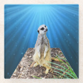 Blue Meerkat Night, Glasuntersetzer (Vorderseite)