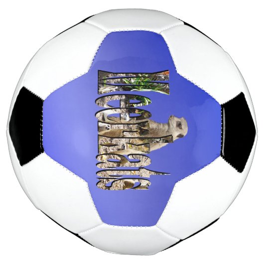 Blue Meerkats, Fußball (Gedreht)