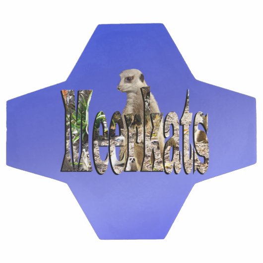 Blue Meerkats, Fußball (Flach)
