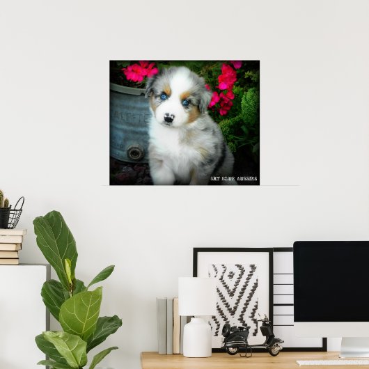 Blue Merle Aussie 2 Puppy Poster (Heimbüro)