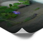 Blue Merle Aussie 3 Puppy Poster (Ecke)