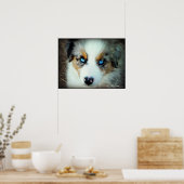 Blue Merle Aussie Puppy Poster (Küche)