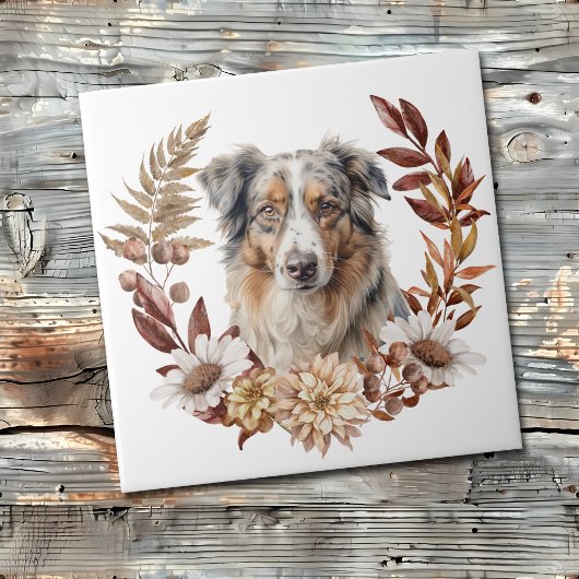 Blue Merle Australian Shepherd Hund Herbstreath Fliese