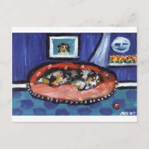 Blue Merle Australian Shepherd im Bett Postkarte