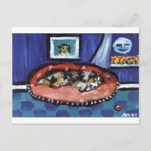 Blue Merle Australian Shepherd im Bett Postkarte (Vorderseite)
