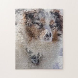 Blue Merle Australian Shepherd Puzzle