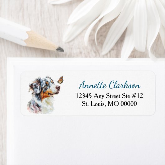 Blue Merle Australian Shepherd Schmetterling Wunde (Insitu)