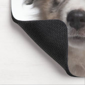 Blue Merle Australian Shepherd Welpe nah-up Mousepad (Ecke)