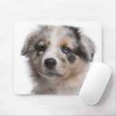 Blue Merle Australian Shepherd Welpe nah-up Mousepad (Mit Mouse)