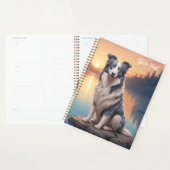 Blue Merle Border Collie am See Planer (Anzeige)