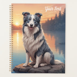 Blue Merle Border Collie am See Planer