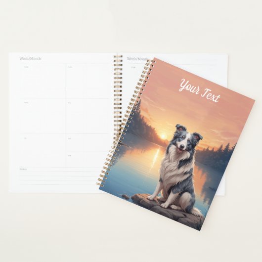 Blue Merle Border Collie Planer (Anzeige)