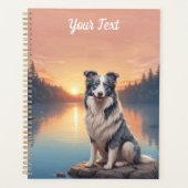 Blue Merle Border Collie Planer (Vorderseite)