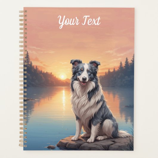 Blue Merle Border Collie Planer (Vorderseite)
