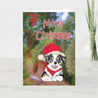 Blue Merle Christmas Aussie Cartoon Puppy Feiertagskarte