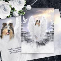 Blue Merle Collie Angel Heaven - Beileid für Haust