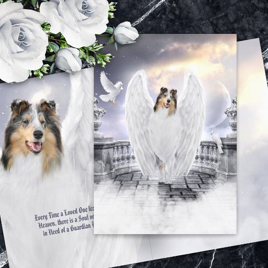Blue Merle Collie Angel Heaven - Beileid für Haust Karte