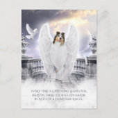 Blue Merle Collie Angel Heaven - Beileid für Haust Postkarte (Vorderseite)