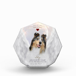 Blue Merle Collie Angel Portrait - Memorial für Ha Fotoblock