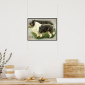 Blue Merle Collie Art Print Poster (Küche)