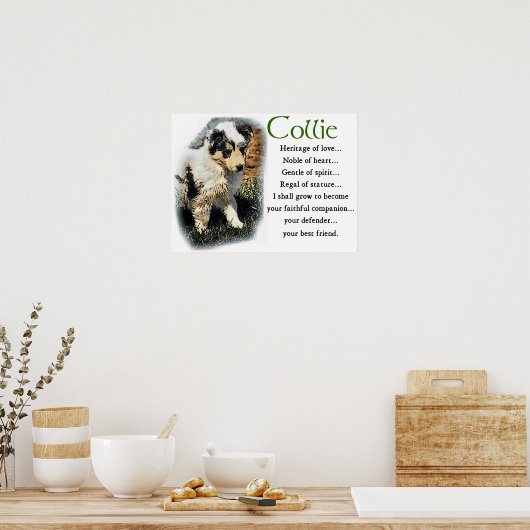 Blue Merle Collie Geschenke Poster (Küche)