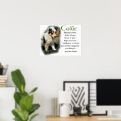 Blue Merle Collie Geschenke Poster (Heimbüro)