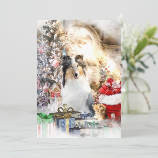 Blue Merle Collie & Kitty, Frohe Weihnachten - Kar (Stehend Vorderseite)