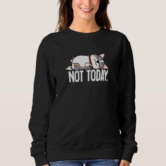 Blue Merle Corgi Sweatshirt (Vorderseite)