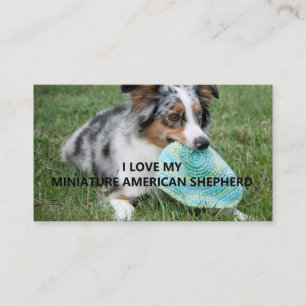 Blue_Merle_Miniature_American_Shepherd Liebe w pic Visitenkarte