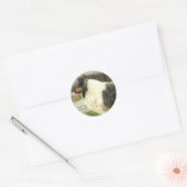 Blue Merle Rough Collie Geschenke Runder Aufkleber (Umschlag)