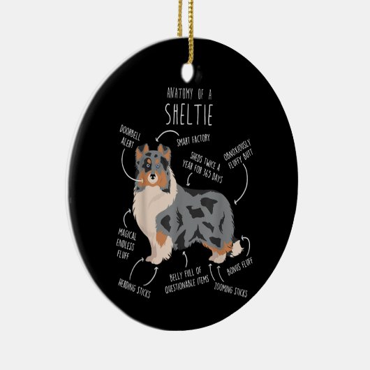Blue Merle Sheltie Shetland Sheepdog Anatomie, Fun Keramik Ornament (Rechts)