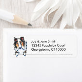 Blue Merle Sheltie Shetland Sheepdog Clean Simple (Insitu)