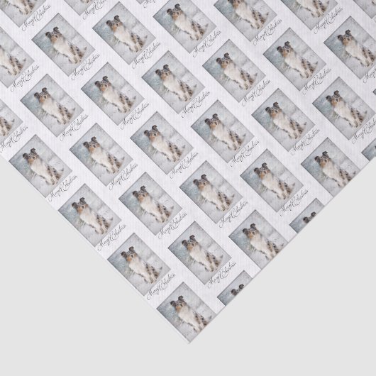 Blue Merle Sheltie Weihnachtsartikel Seidenpapier (Ausschnitt)