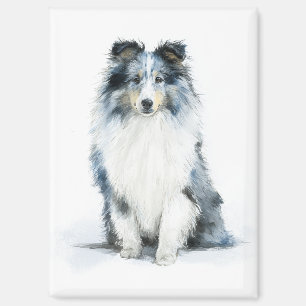 BLUE MERLE Shetland Sheepdog Aquarell-Kunst Magnet