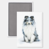 BLUE MERLE Shetland Sheepdog Watercolor Art Magnet (Vorderseite/Rückseite)