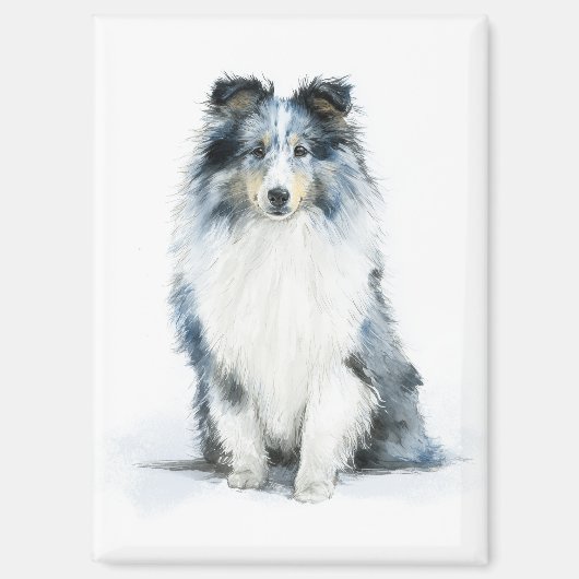 BLUE MERLE Shetland Sheepdog Watercolor Art Magnet (Vorderseite)