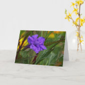 Blue Mexican Petunia Flower (Ruellia brittoniana) Karte (Gelbe Blume)