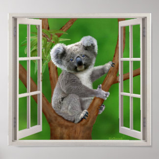 Blue-Mit Augen Baby Koala Bear Fake Window Poster