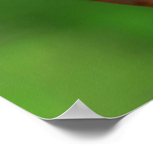 Blue-Mit Augen Baby Koala Bear Poster (Ecke)