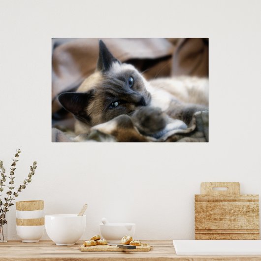 Blue Mit Augen Beauty Poster (Küche)