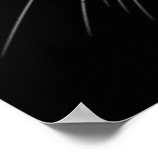 Blue Mit Augen Black Cat Face Poster (Ecke)