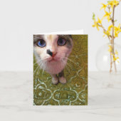 Blue Mit Augen Cat in the Kitchen Art Card Karte (Gelbe Blume)