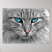 Blue Mit Augen Cat Poster (Vorne)