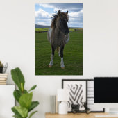 Blue Mit Augen Dartmoor Pony Poster (Heimbüro)